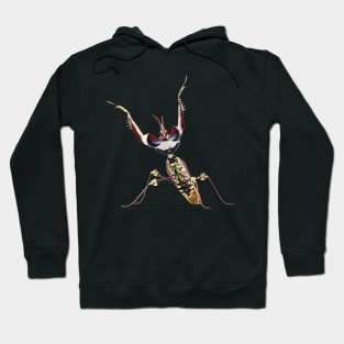 Devil's Flower Mantis Digital Painting Hoodie